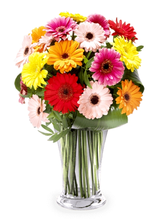 משלוח פרחים הולנד זר גרברות