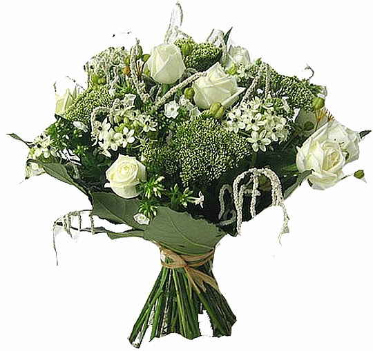 משלוח פרחים  לבן וטהור ליזיאנטוס