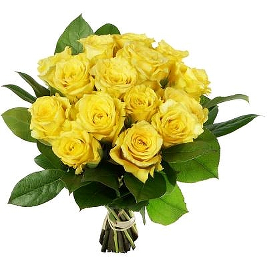 משלוח פרחים לרומניה ורדים צהובים