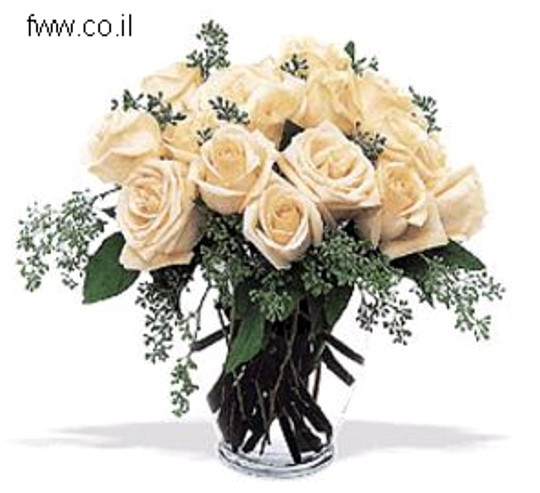משלוח פרחים רוסיה זר ורדים לבנים חייגו 037513618