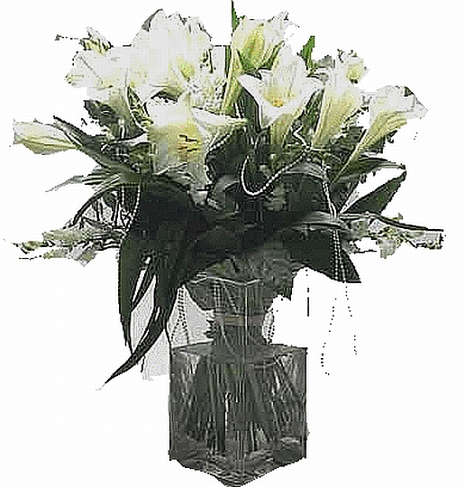 WHITE ARRANGEMENT INCLUDE VASE