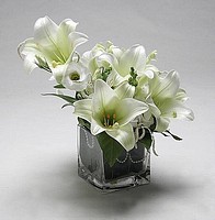סידור פרחים שושן צחור טרי בכלי זכוכית