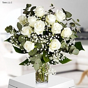 משלוח פרחים רוסיה 11 ורד לבן חייגו 037513618
