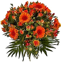 משלוח פרחים לרומניה זר כתום