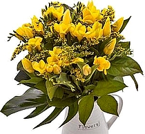 משלוח פרחים לרומניה פרזיות