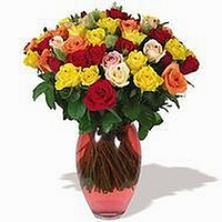 משלוח פרחים לחו"ל - מיקס ורדים