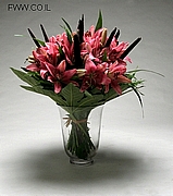 Pink Lilies delivery to Israel